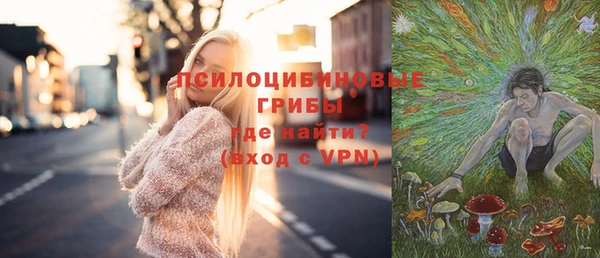 спиды Алзамай